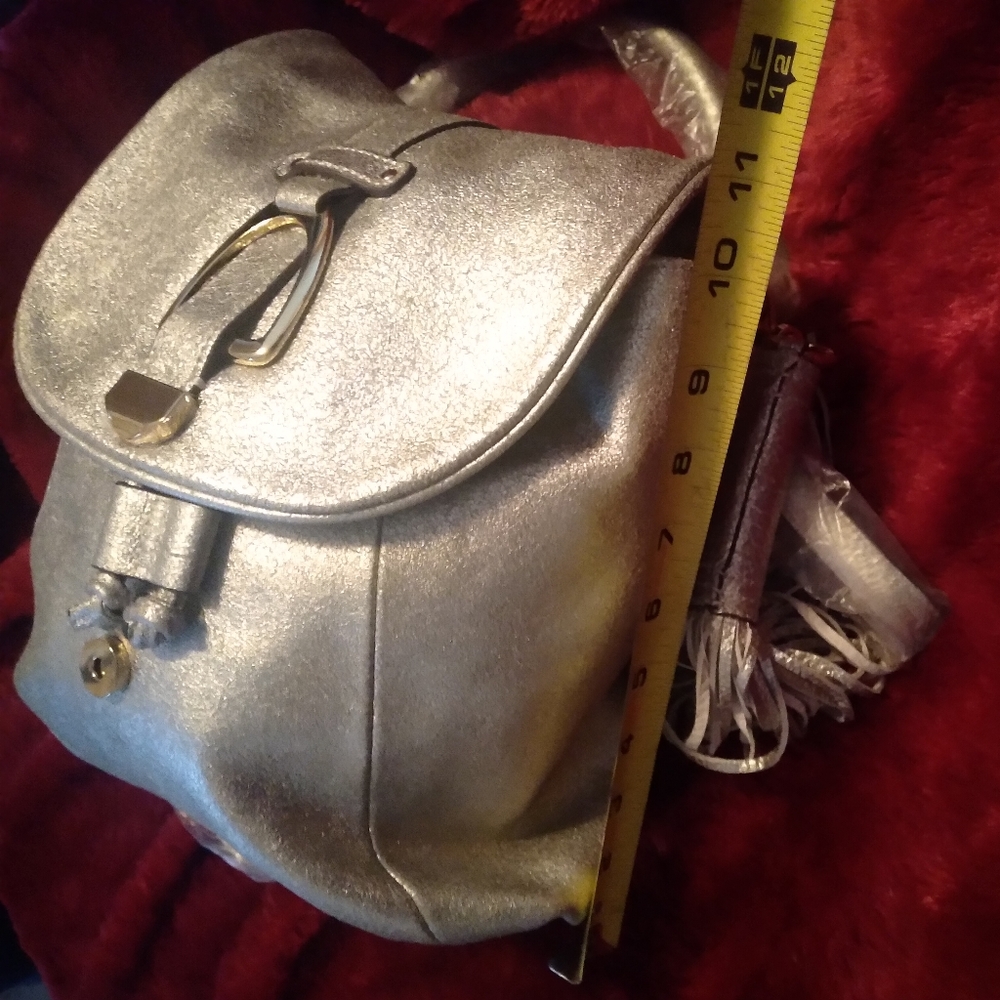 G.I.L.I. Silver Leather Backpack And Shoulder bag